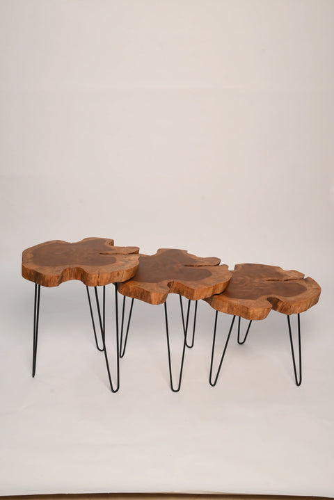 Crafter Bazar™ Live Edge Coffee & Side Table