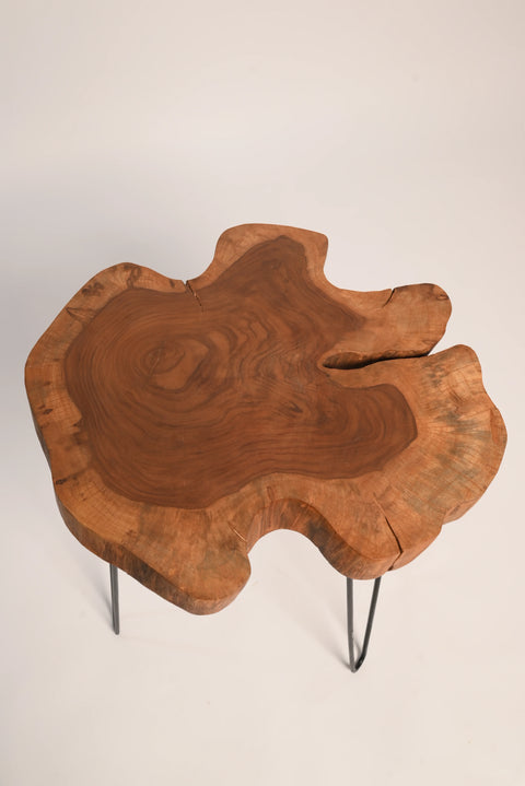Crafter Bazar™ Live Edge Coffee & Side Table